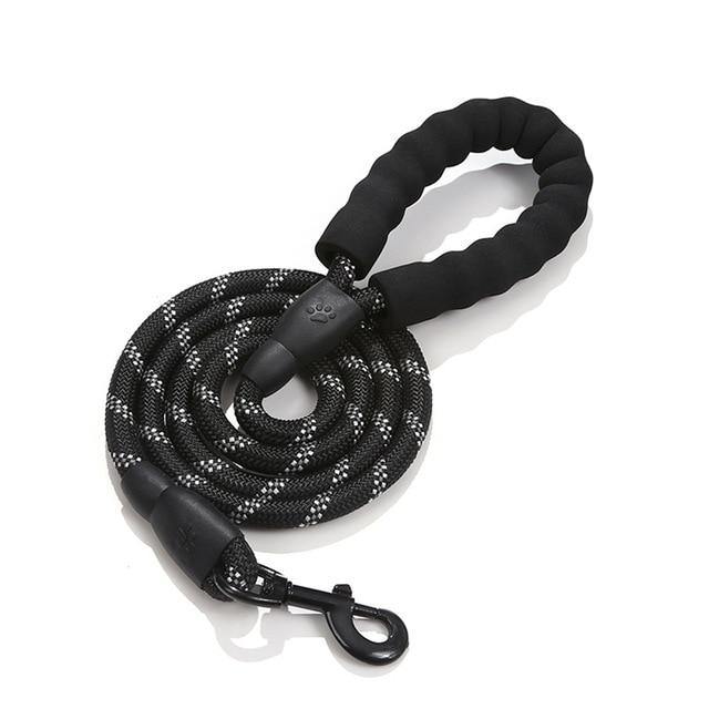 Black rope dog leash coiled with padded handle on white background