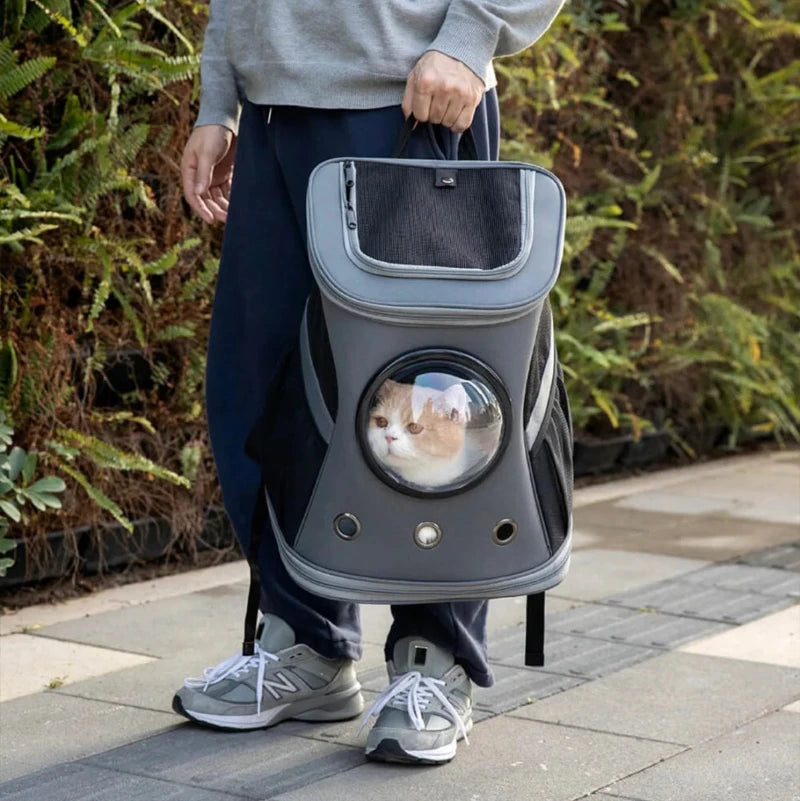 Man carrying a gray bubble window cat backpack, perfect for comfortable and stylish pet travel on the go.