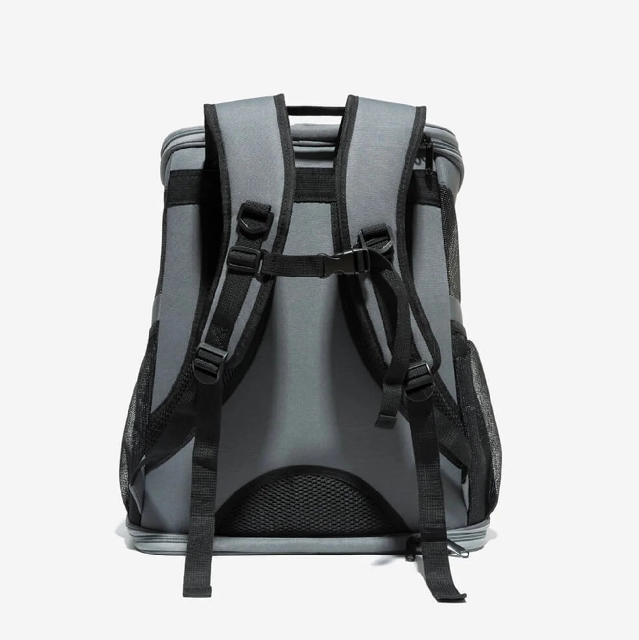 Back view of a bubble window cat backpack featuring adjustable padded straps for comfortable pet travel.