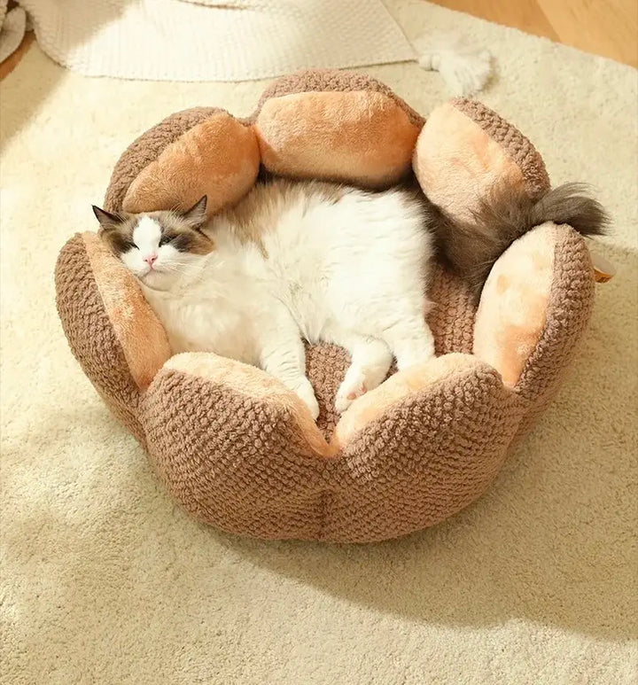 Fluffy cat relaxing in brown cactus pet bed on a soft rug