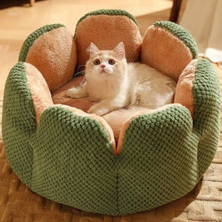 White cat relaxing in green cactus pet bed indoors