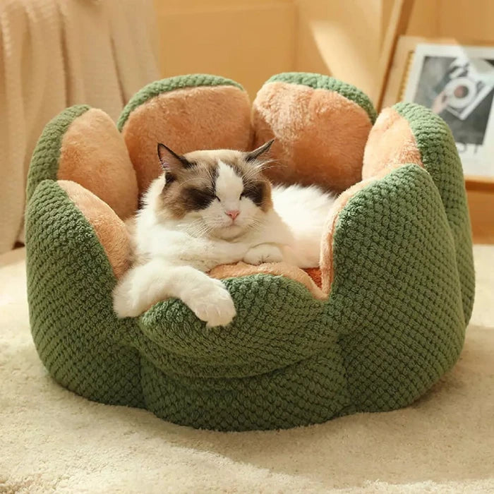 Sleepy cat lounging in cactus themed cat bed on carpet