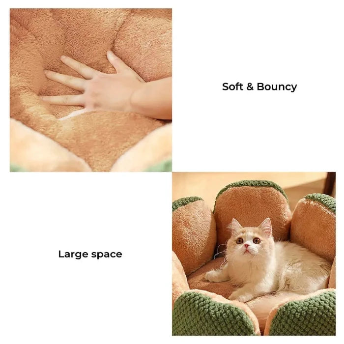 Collage showing hand pressing cushion and cat in comfy cactus sofa bed for pets