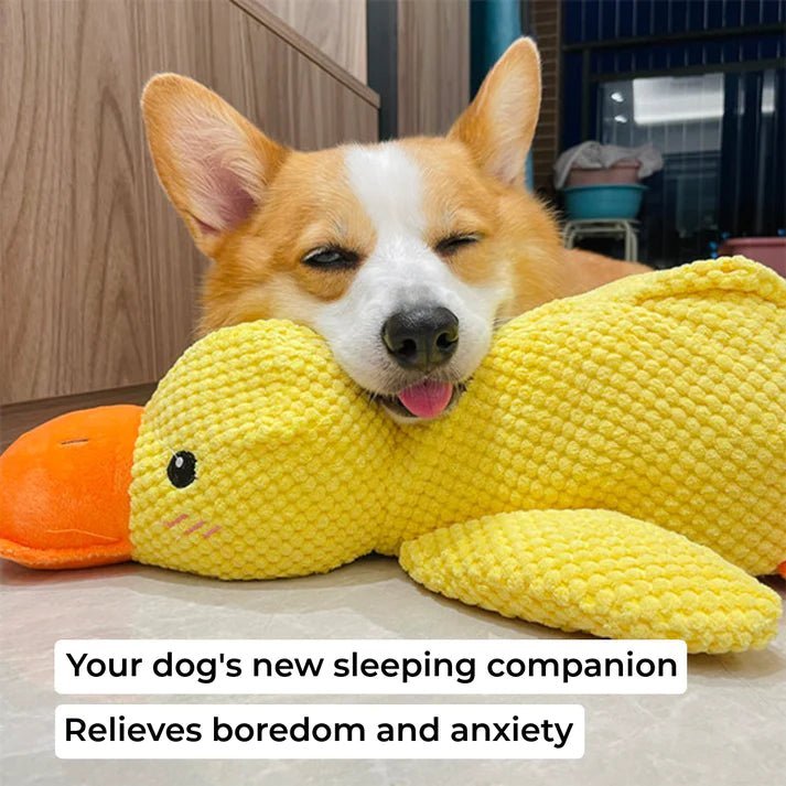 Corgi resting on a plush duck toy designed to relieve boredom and anxiety, perfect as a calming sleeping companion.