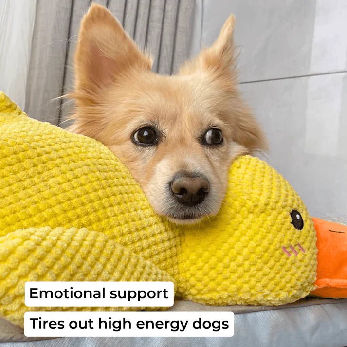 A cute dog resting its head on a yellow duck-shaped calming toy, showcasing emotional support for high-energy pets.