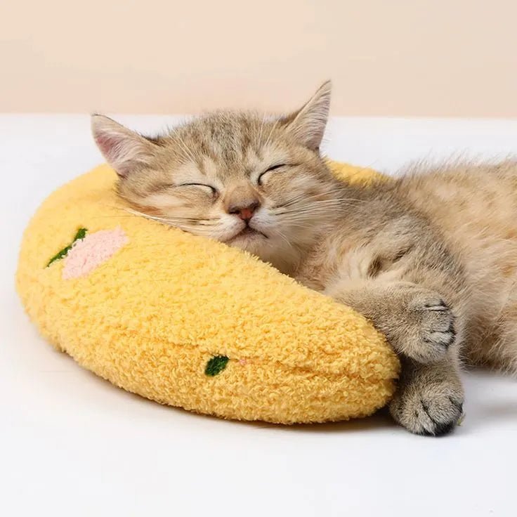 Adorable kitten sleeping on a yellow calming pet pillow, providing soft and cozy support for ultimate relaxation.