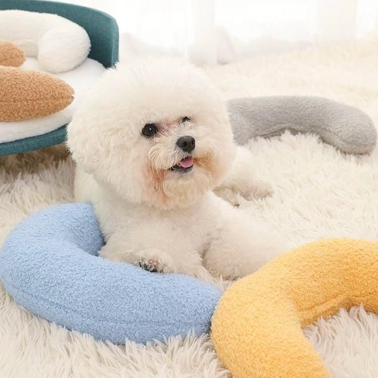 Fluffy white dog relaxing with soft calming pet pillows in blue, yellow, and gray, perfect for soothing and comfort.