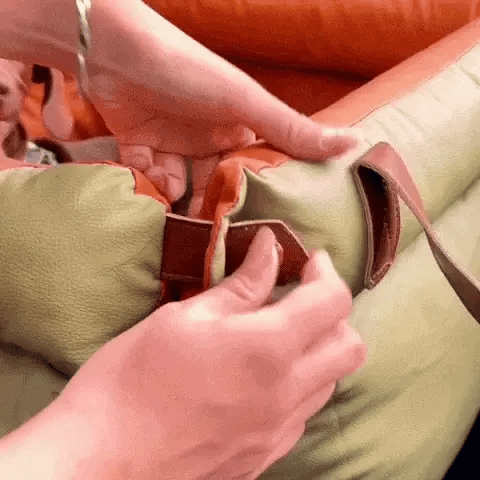 travel bed for dog in car with dachshund secured safely by seat belt