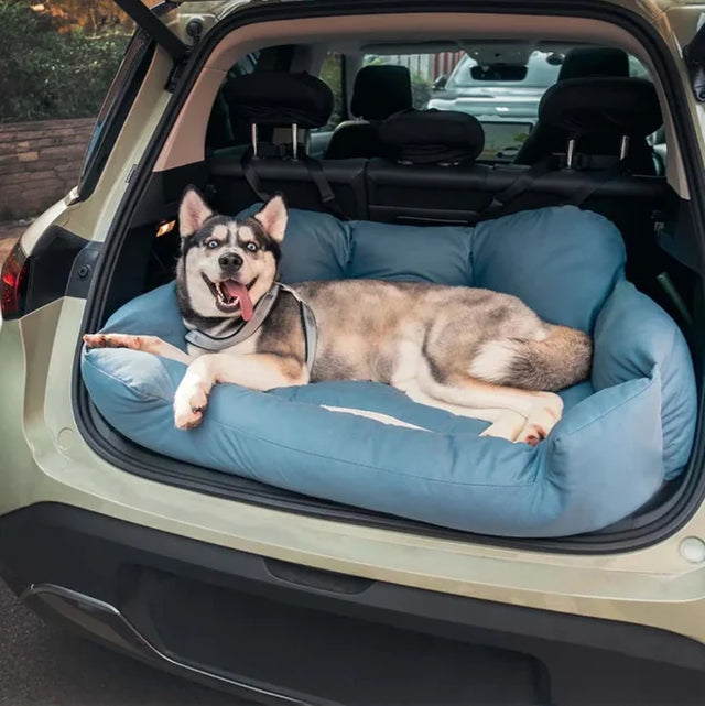 Dog lying on a blue pet bed in the back of a car