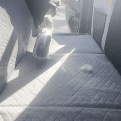 vacuum cleaning pet hair from a car seat cover for dogs
