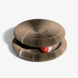 A cat organ toy with a hidden ball on a white background