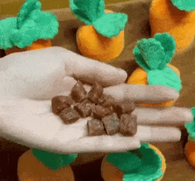 carrot interactive dog toy with treats tucked beneath the carrot and a dog learning to pull it free