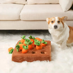 Dog sniffing a plush carrot puzzle toy indoors