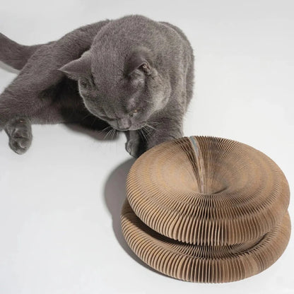 Cat exploring accordion-style interactive toy with scratch-resistant cardboard layers for endless entertainment.