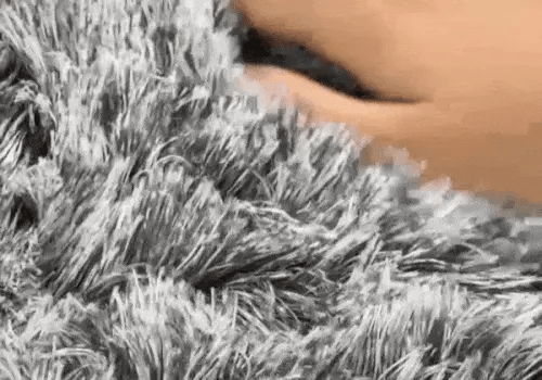 close-up of plush fabric on a dog cave bed being gently pressed