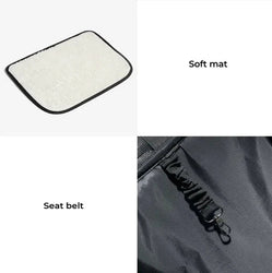 Soft mat and seat belt clip shown as features of a capsule cat carrier backpack