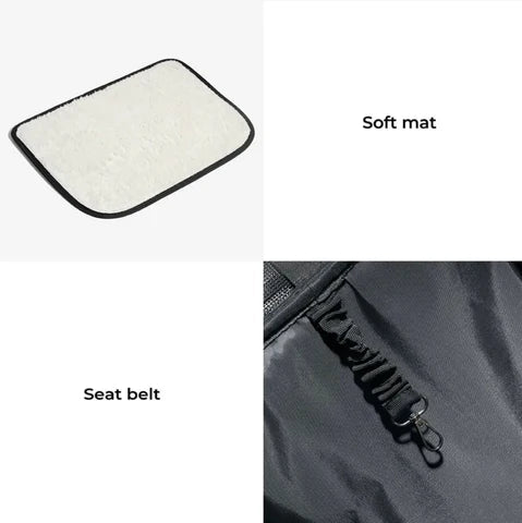 Soft mat and seat belt clip shown as features of a capsule cat carrier backpack