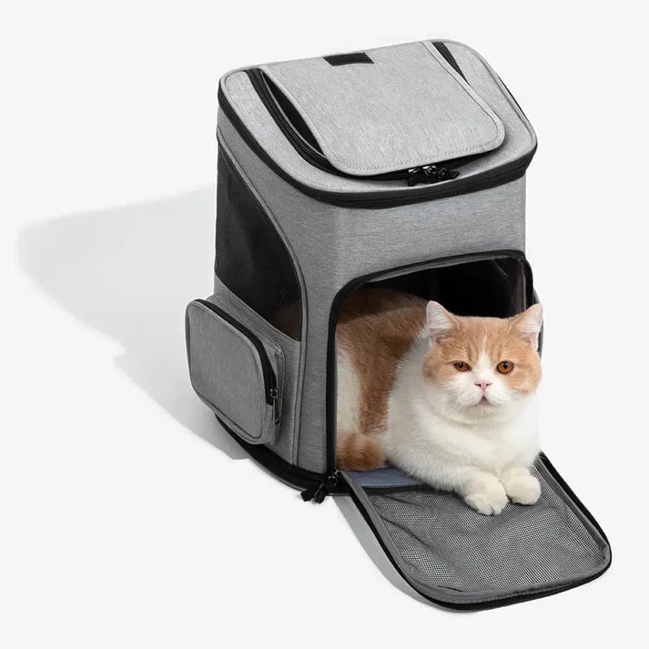 Best cat backpack with front flap down and cat lying inside