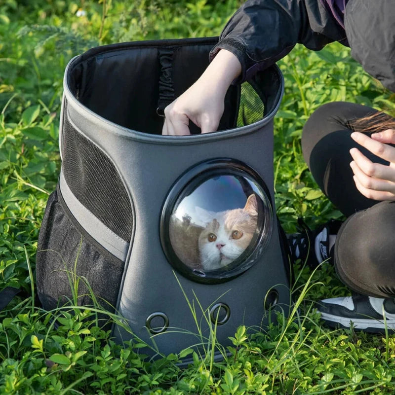 cat backpack with window leather Cat Bubble Backpack