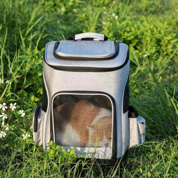 A cat rests inside a cat travel carrier bag on grass with the front mesh panel closed