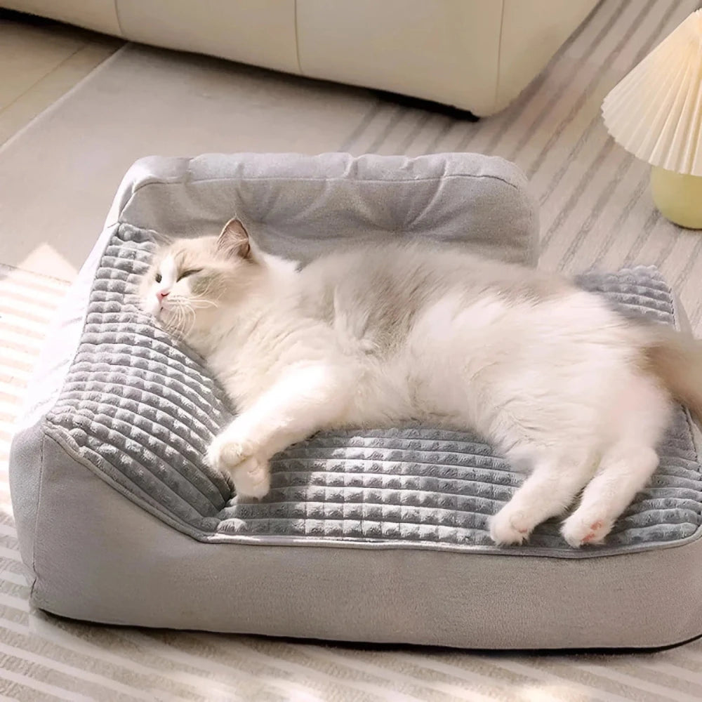 White cat lounging on a pillow bed for cats in sunlight
