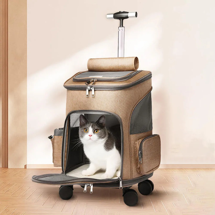 grey-and-white cat sitting in a cat bag with wheels with the front window open and handle extended