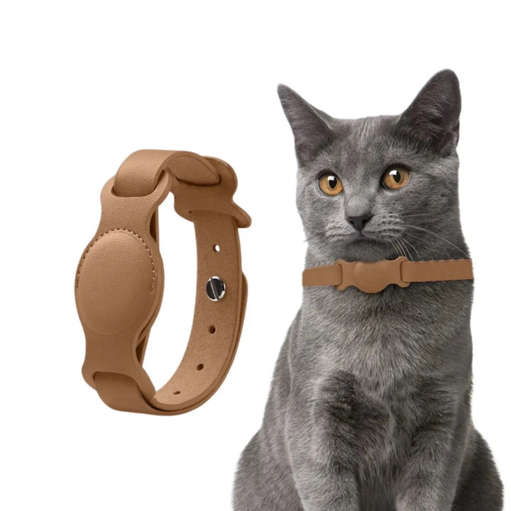 cat on grey background with brown cat collar with airtag holder