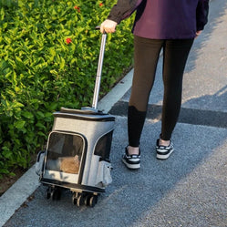 A person pulls a wheeled cat carrier bag along a path with a cat behind the mesh