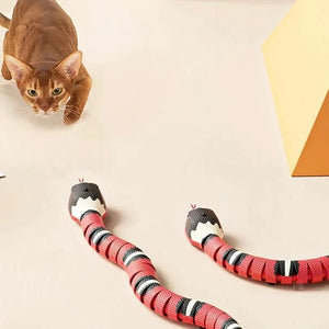 A cat watching an automatic snake cat toy on the floor indoors