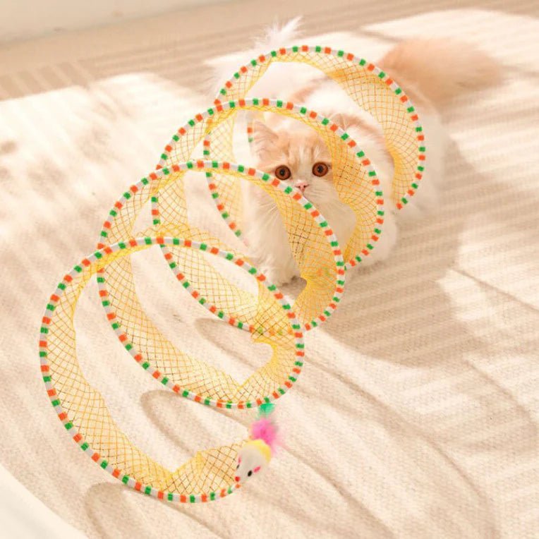 Kitten playing with a colorful spiral cat toy, designed to enhance agility and keep your cat entertained for hours.