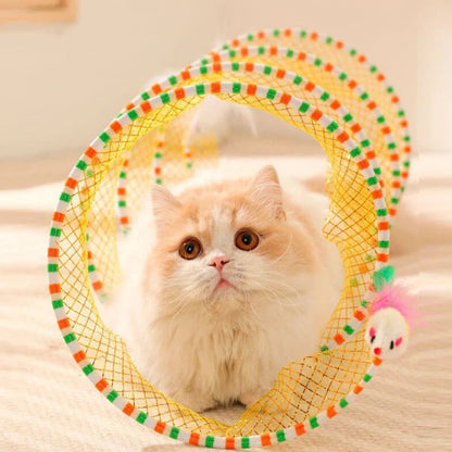 Fluffy white cat inside a colorful spiral cat toy, perfect for interactive play and mental stimulation for your pet.