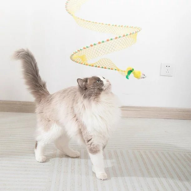 Fluffy cat playing with a colorful spiral cat toy, offering interactive fun and mental stimulation for indoor pets.