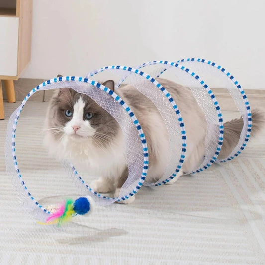 Cat playing with a colorful spiral tunnel toy, promoting active and engaging fun for indoor pets.