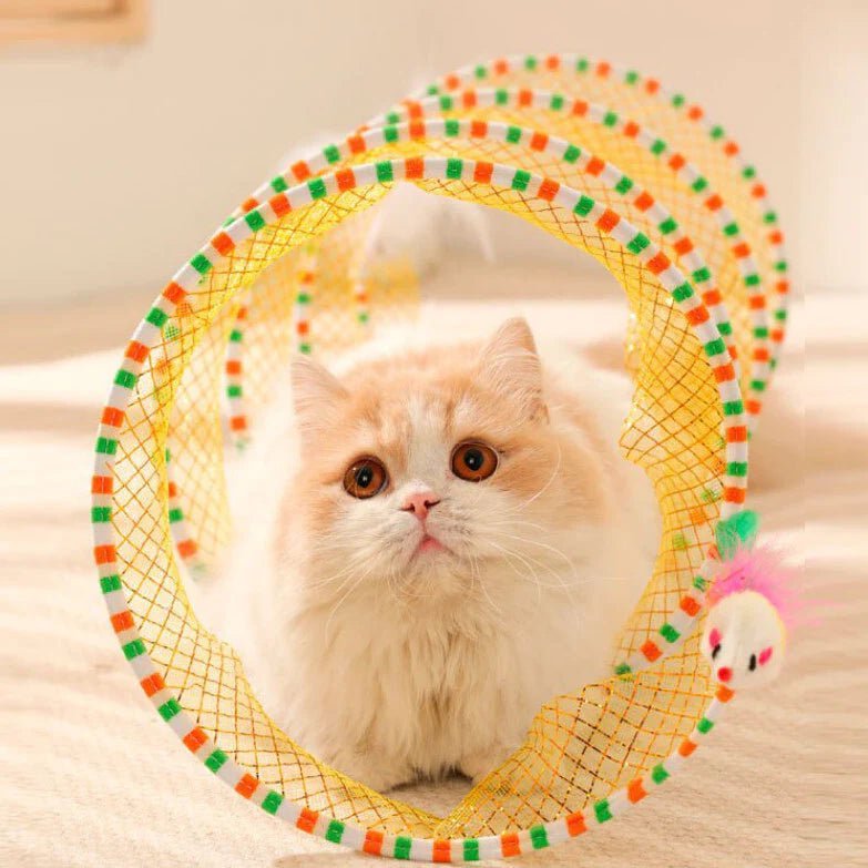 A fluffy cat sitting inside a coil cat toy on a rug indoors