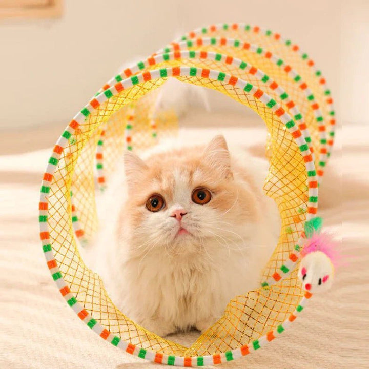 A fluffy cat sitting inside a coil cat toy on a rug indoors