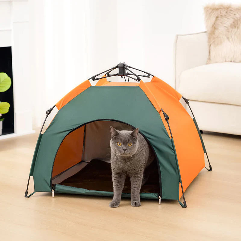 A grey cat stands in the doorway of a tent for cats on a wooden floor indoors