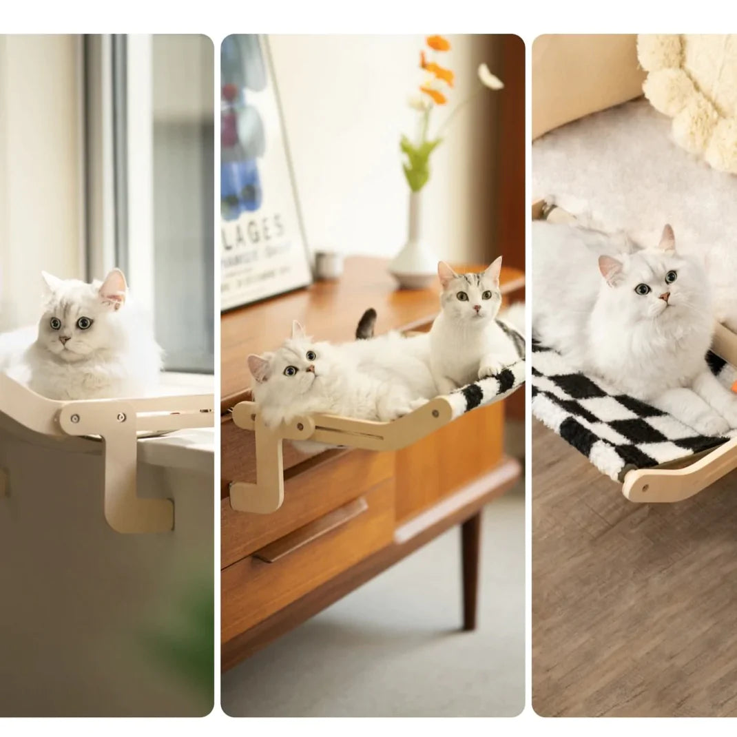 Cats relaxing on sturdy window hammocks, perfect for enjoying sunlight and cozy indoor naps.