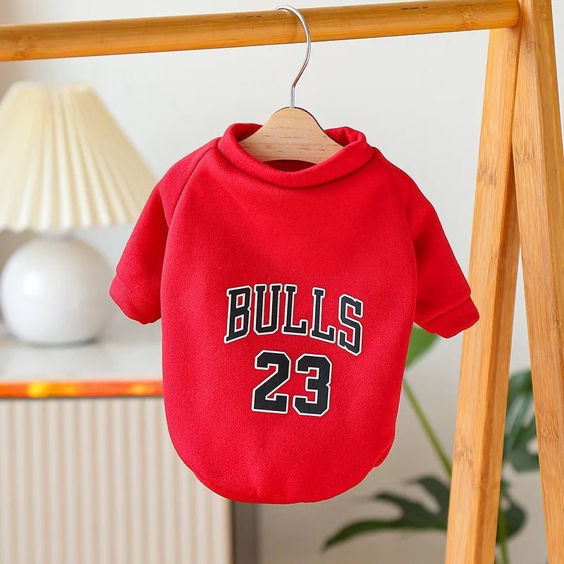 Red chicago bulls dog sweater on a hanger in a cozy room