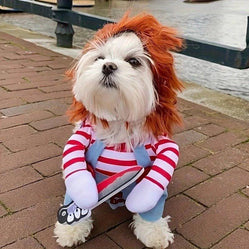 Small white pup in dog chucky doll costume sitting on a path outdoors