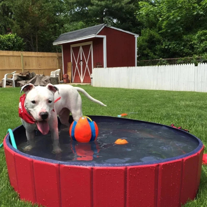 White dog enjoying playtime in a red collapsible dog swimming pool, perfect for outdoor water fun and cooling down.