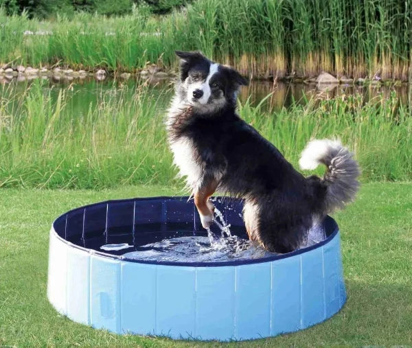 Collapsible dog swimming pool for outdoor play, perfect for cooling off on hot days. Durable and easy to set up.