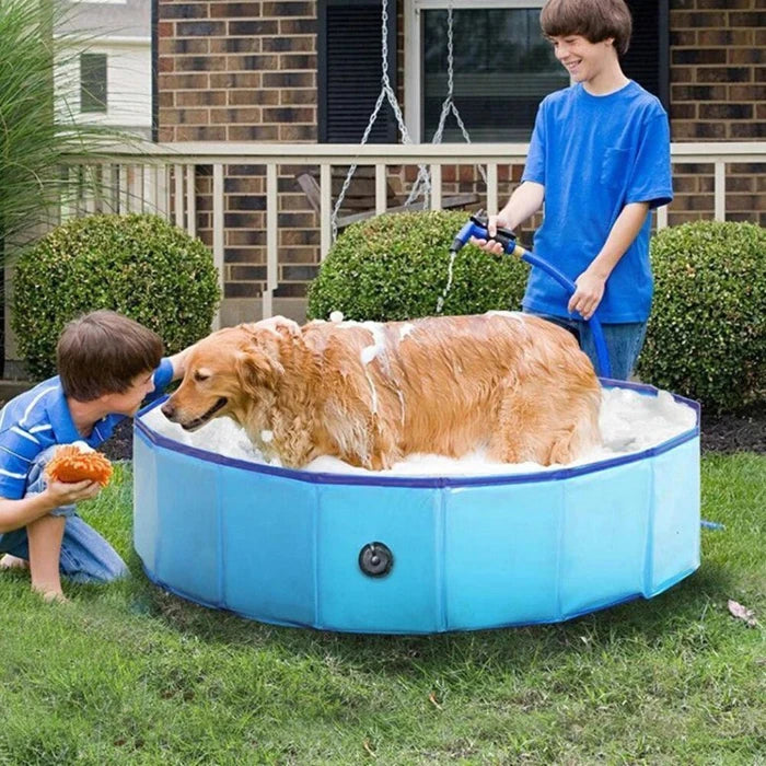 Golden retriever enjoying a bath in a blue collapsible dog pool, perfect for outdoor pet bathing and cooling off.