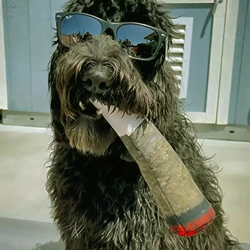 Dog wearing sunglasses holding the Splif dog toy with a joint-inspired design, perfect for fun and chew time.