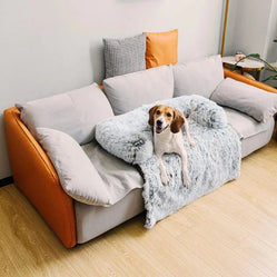 Beagle relaxing on a fluffy dog couch bed with pillow on a living room sofa