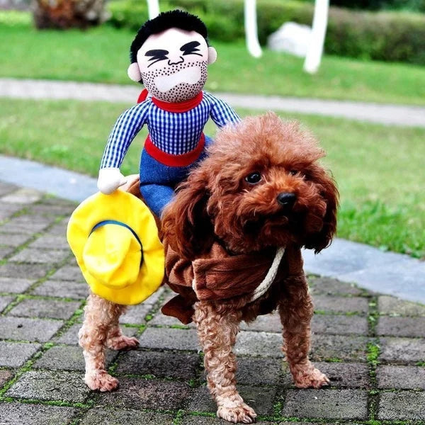 Adorable dog wearing a cowboy rider costume with a plush doll, perfect for playful pet dress-up and outdoor fun.