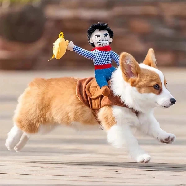 Corgi running in a cowboy rider dog costume, perfect for playful dress-up occasions or Halloween pet outfits.