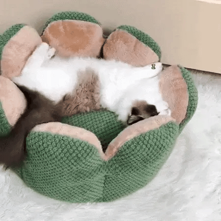 Adorable cat sleeping comfortably in a cozy cactus-shaped pet bed