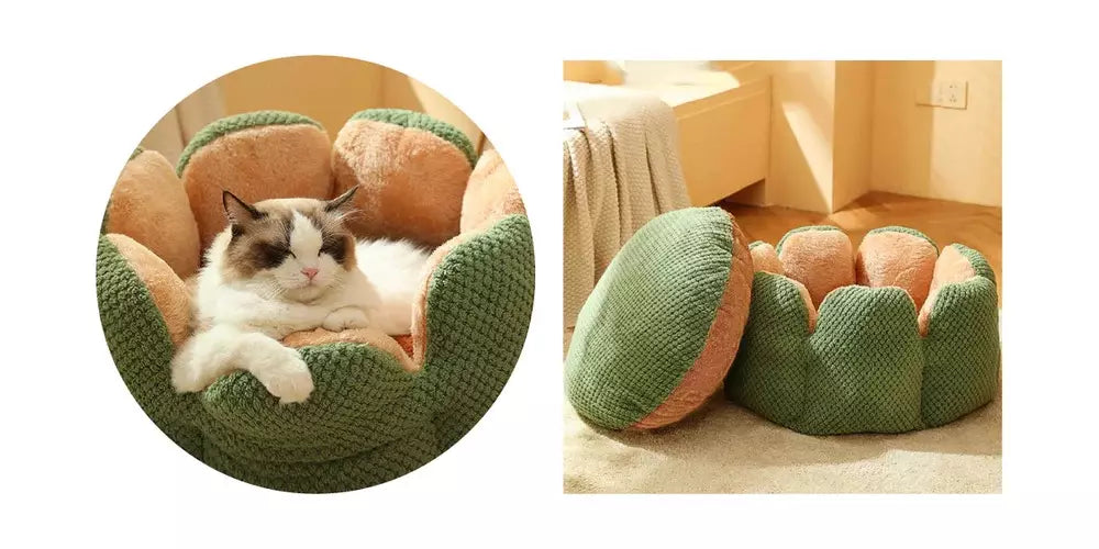 Cozy cactus-shaped cat bed featuring soft plush cushioning, offering comfort and warmth for your pet's perfect nap spot.