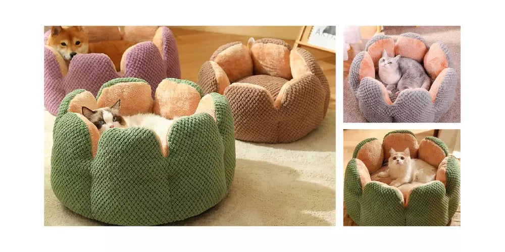 Cozy cactus-shaped pet beds in various colors, perfect for small dogs and cats to relax and enjoy a comfortable nap.