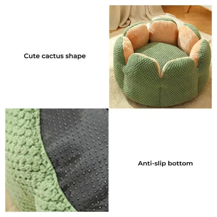 Cactus-shaped pet bed with anti-slip bottom, designed for comfort and safety for small dogs and cats.